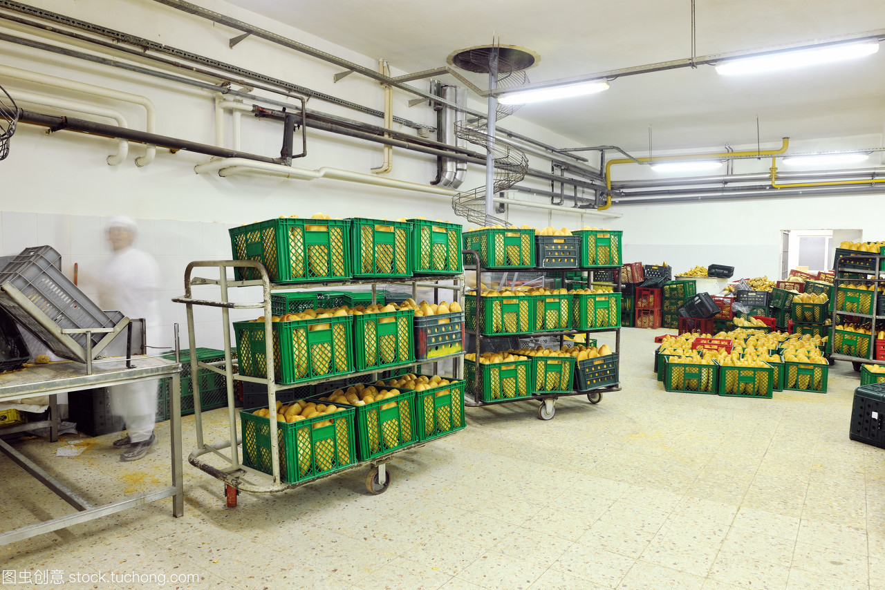 從田野到餐桌 谷物種植如何驅動現(xiàn)代食品制造業(yè)的崛起