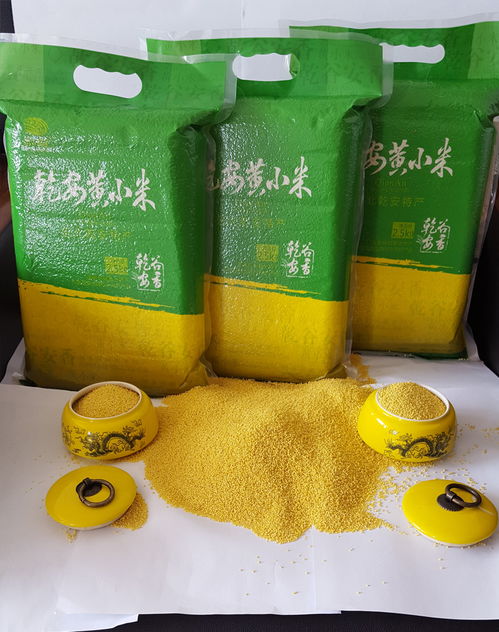 黑土金谷 吉林黃小米的品質傳承與產業鏈創新
